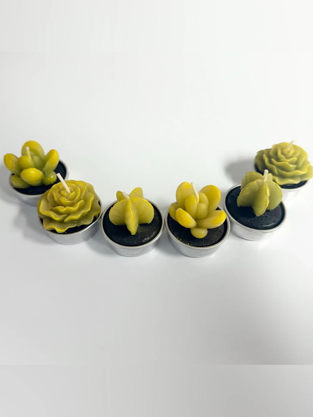 N/A cactus candles